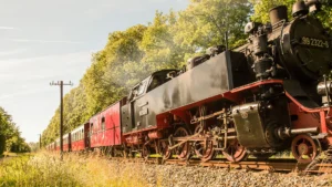 Die historische Schmalspurbahn Molli fährt durch Bad Doberan und begeistert mit ihrem nostalgischen Charme.