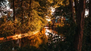 Der Inselseekanal schlängelt sich idyllisch durch Güstrow – gesäumt von grünen Ufern und ruhigem Wasser.