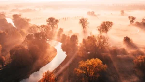 Sanfte Morgenstimmung in der Natur mit Nebelschwaden über Wiesen und Bäumen – ein idyllischer Moment für totale Entspannung.